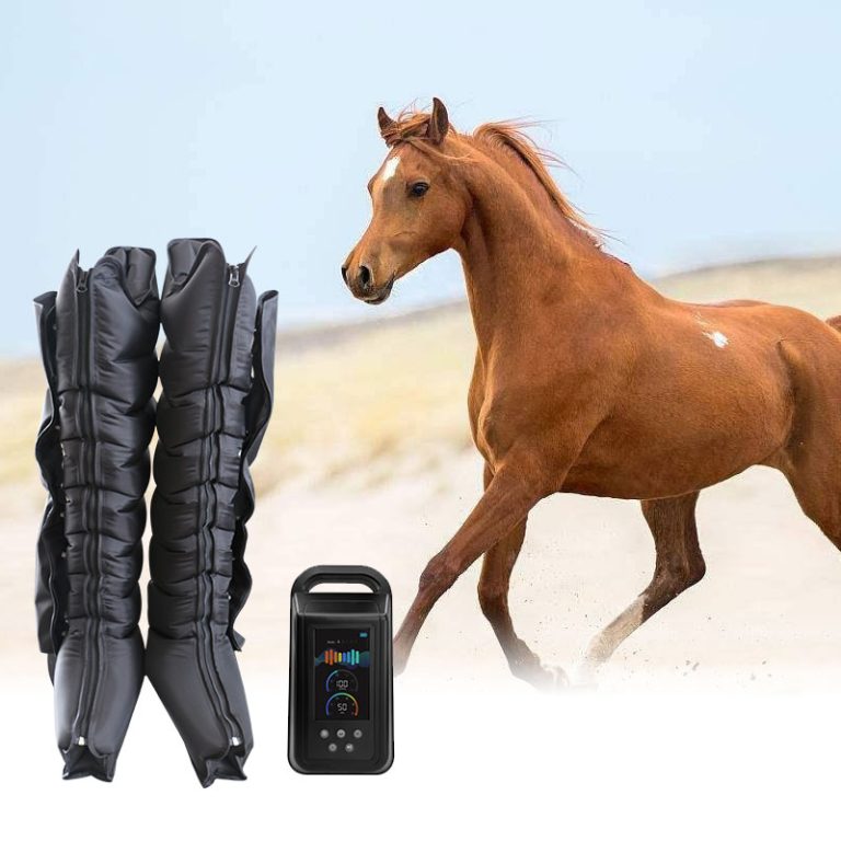 Can-horse-use-recovery-boots